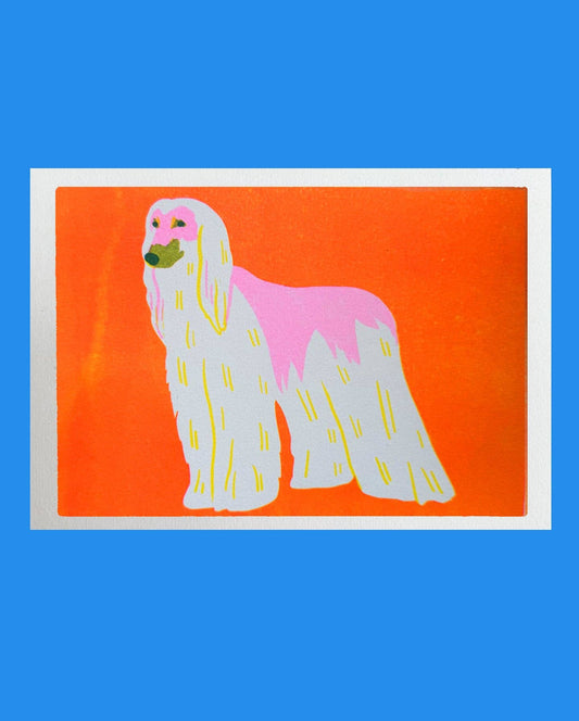 Illustration of a dog with a pink collar on an orange background