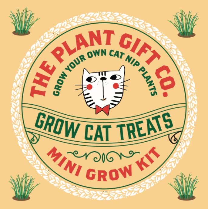 Mini Grow kit.  Cat nip plants.