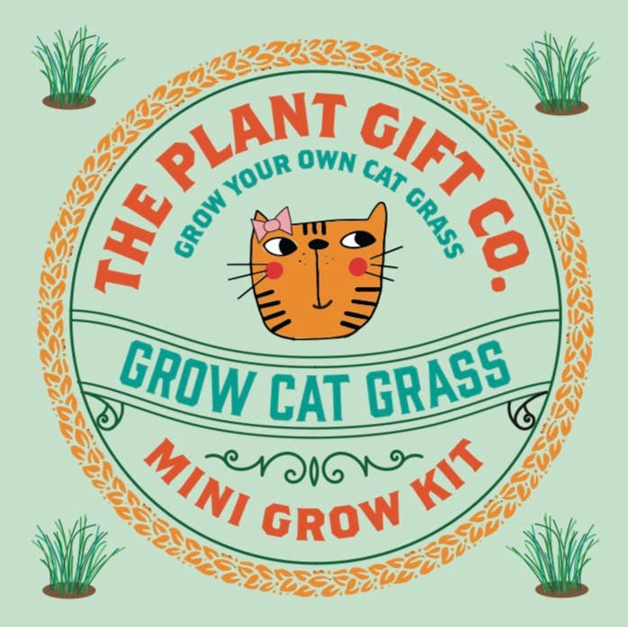 mini grow kit. Cat Grass