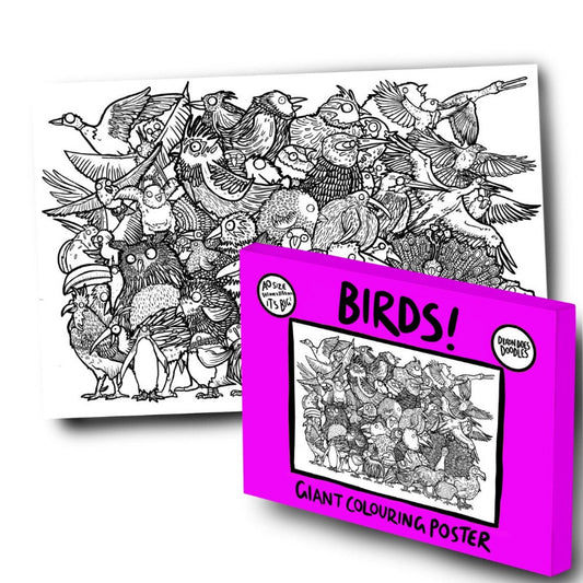 A0 size colouring poster of illustrations of a mass of different birds