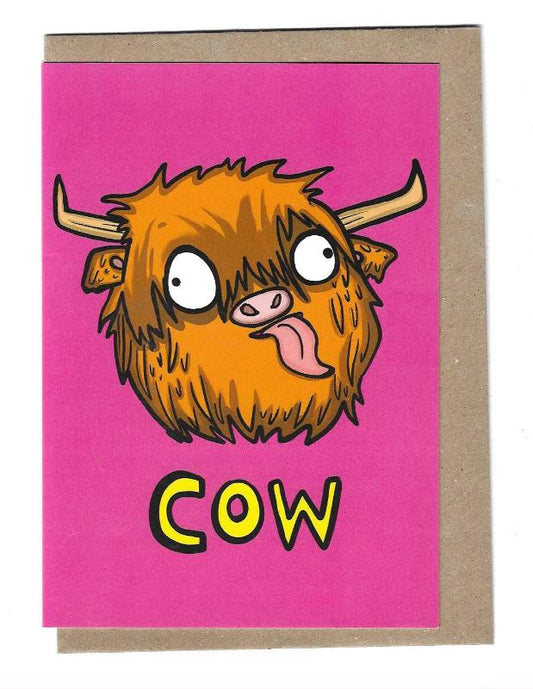 Amusing Highland cow face with tongue out. Pink background.