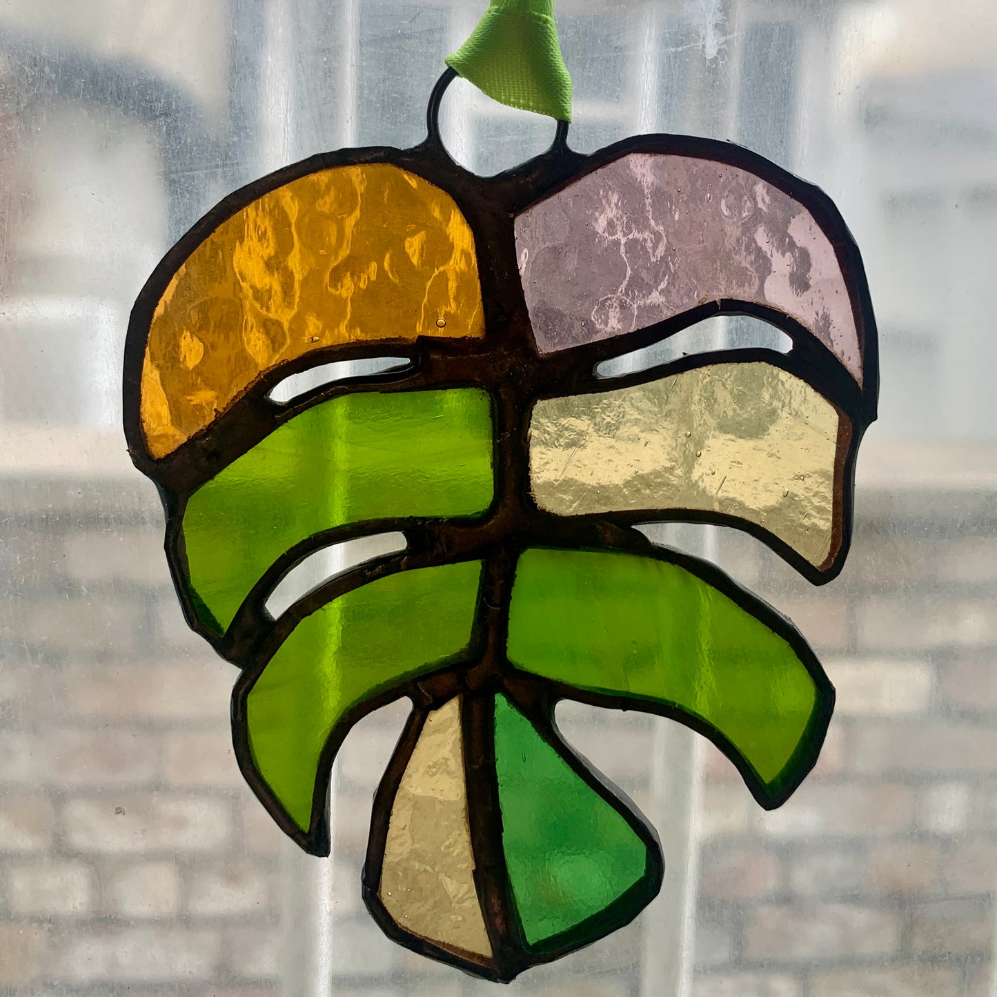 Stained Glass sun catcher. Monstera Leaf. Dadswell Glass studio based in Bristol.