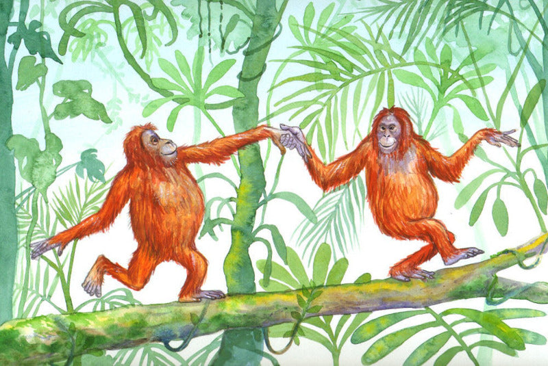 Colour painting of two orangutans dancing on a tree branch with green foliage in background.
