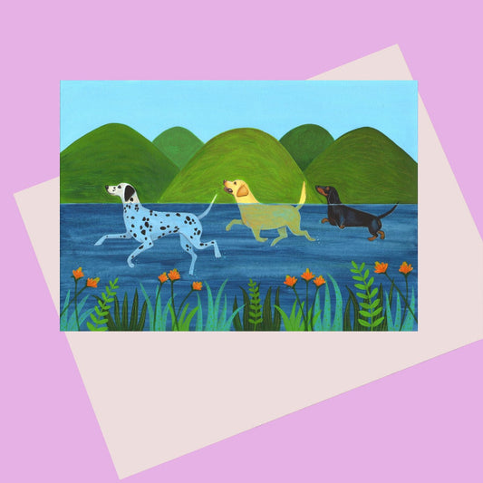 Colourful card illustration of three dogs swimming