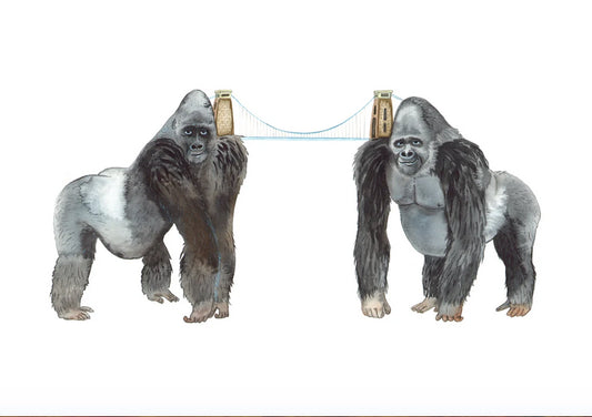 Colour painting of two gorillas holding up Clifton Suspension Bridge on their shoulders. Plain white background.