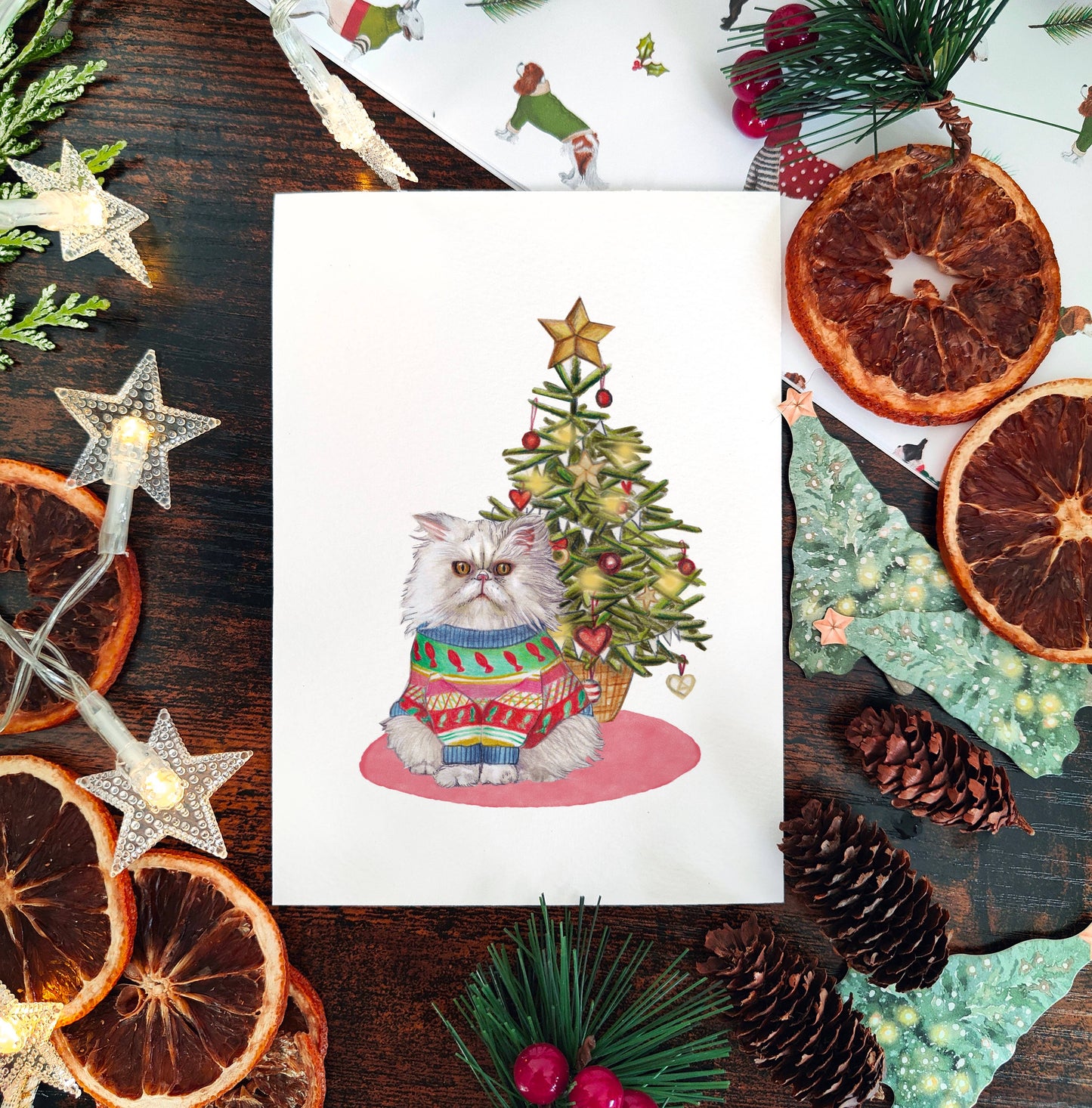 Set of 6 Cats in jumpers Christmas Cards