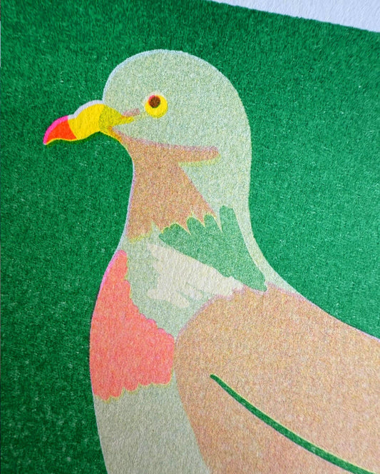 Colorful illustration of a bird on a green background