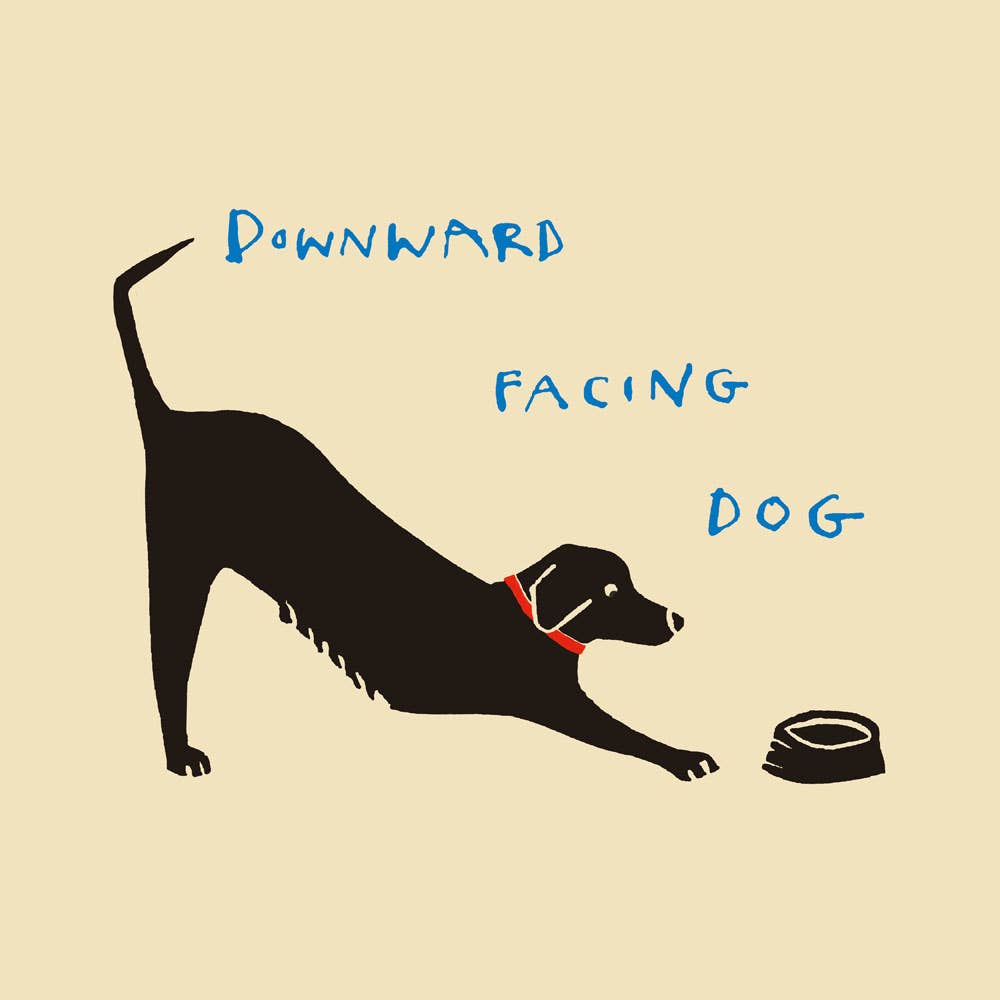 Downward facing dog, black dog with food bowl yoga pose on a cream background.
