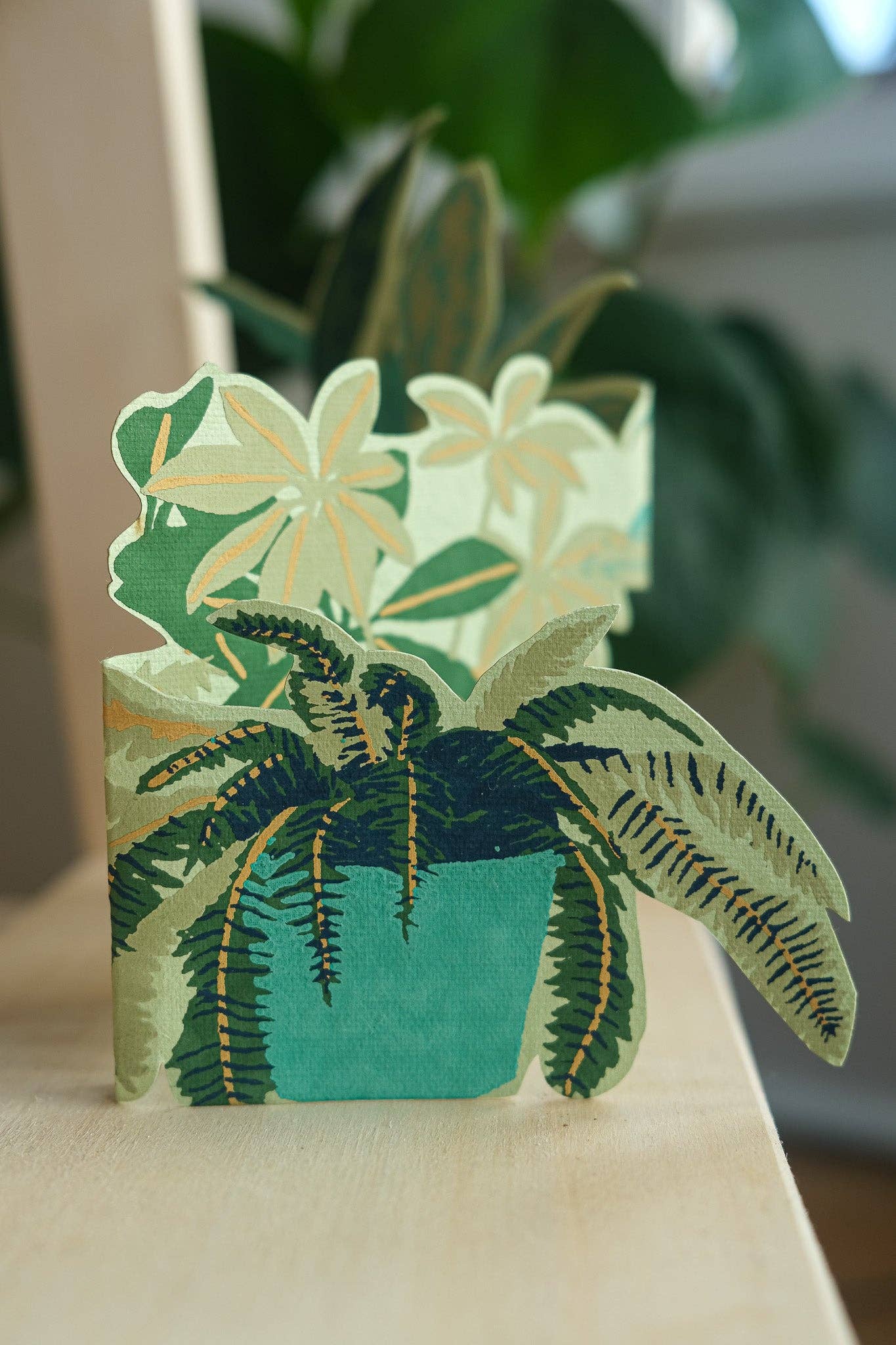 Fold out Houseplant Card