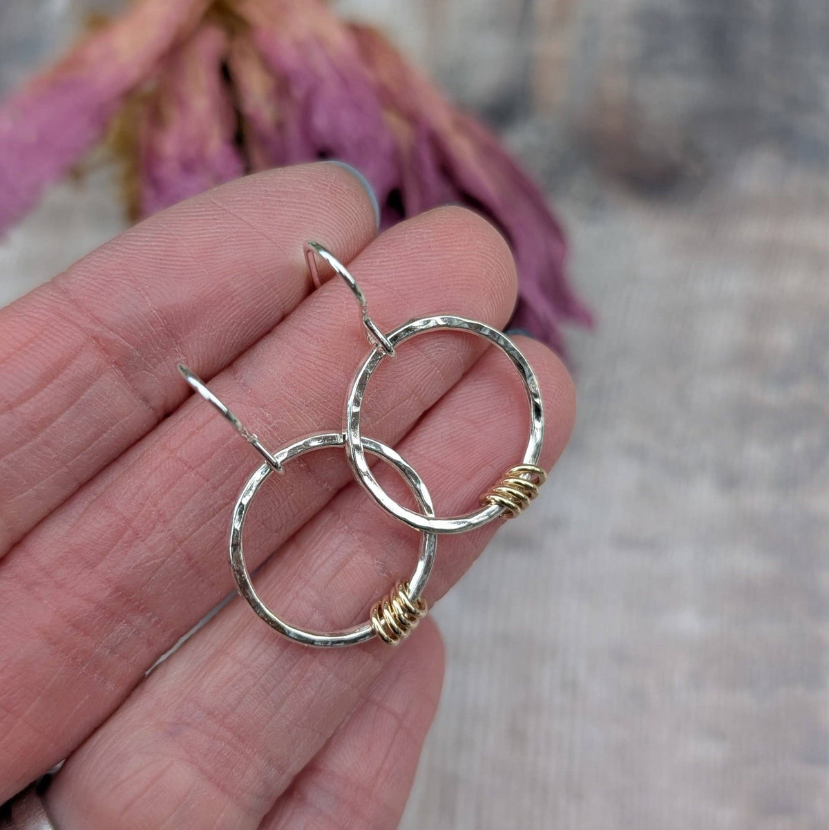 Silver Circle Earrings with Gold Loops