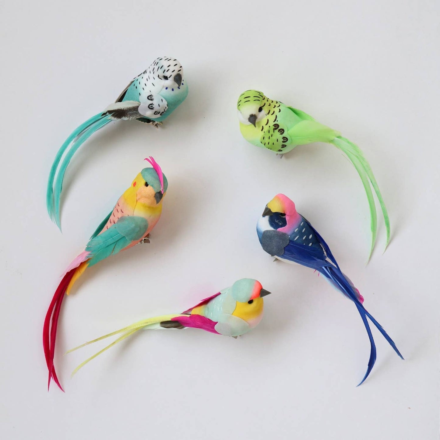 Bird Decorations - Box of 60 - Mixed- PRE ORDER