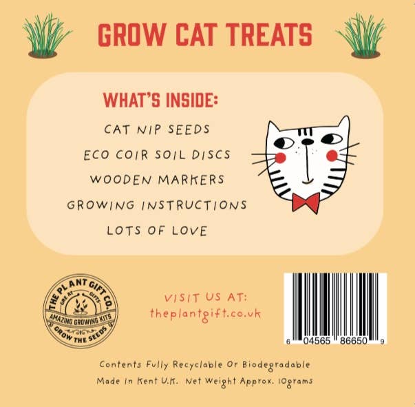 Mini Grow kit.  Cat nip plants.