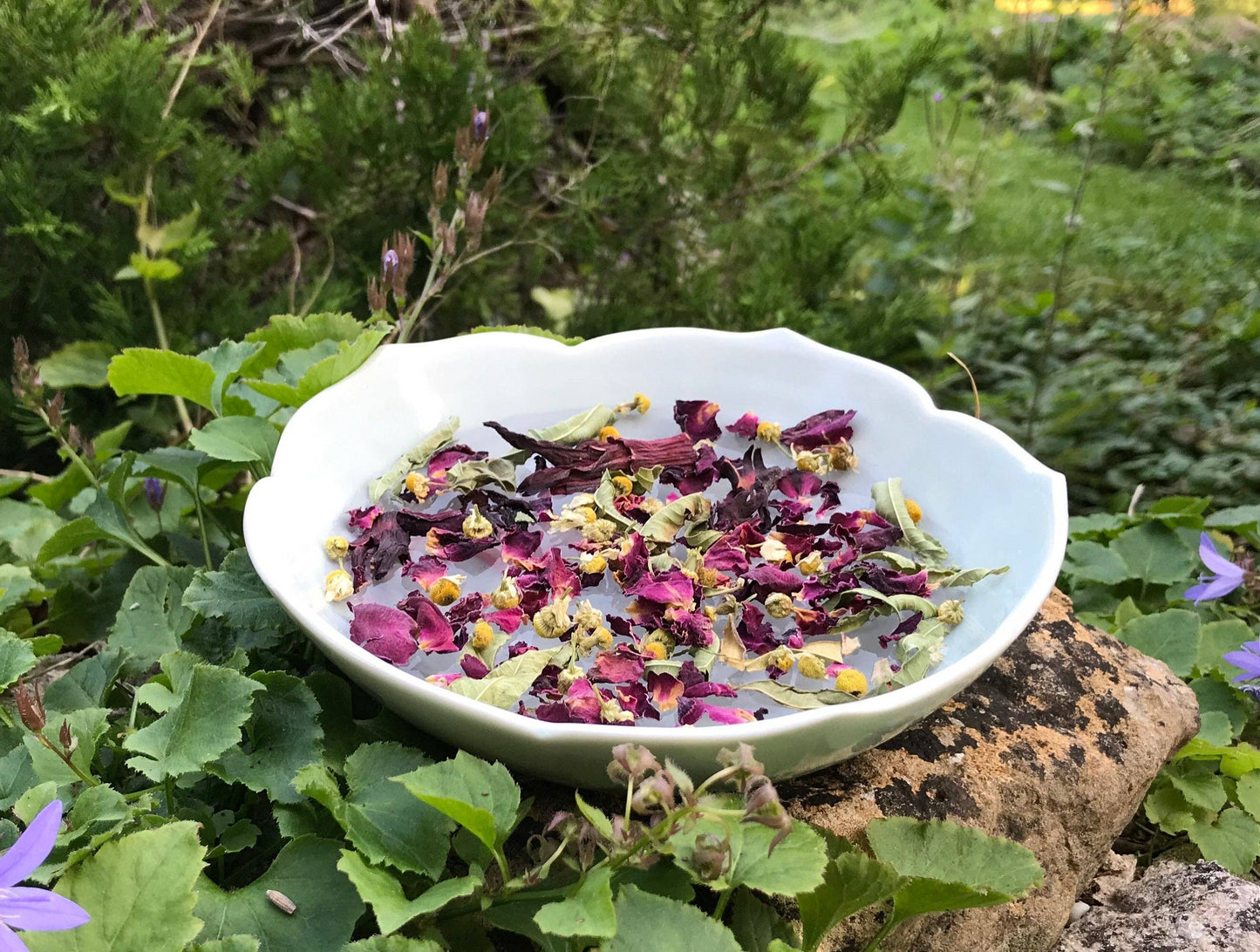 White bowl filled with dried flowers and petals on a rock surrounded by greenery