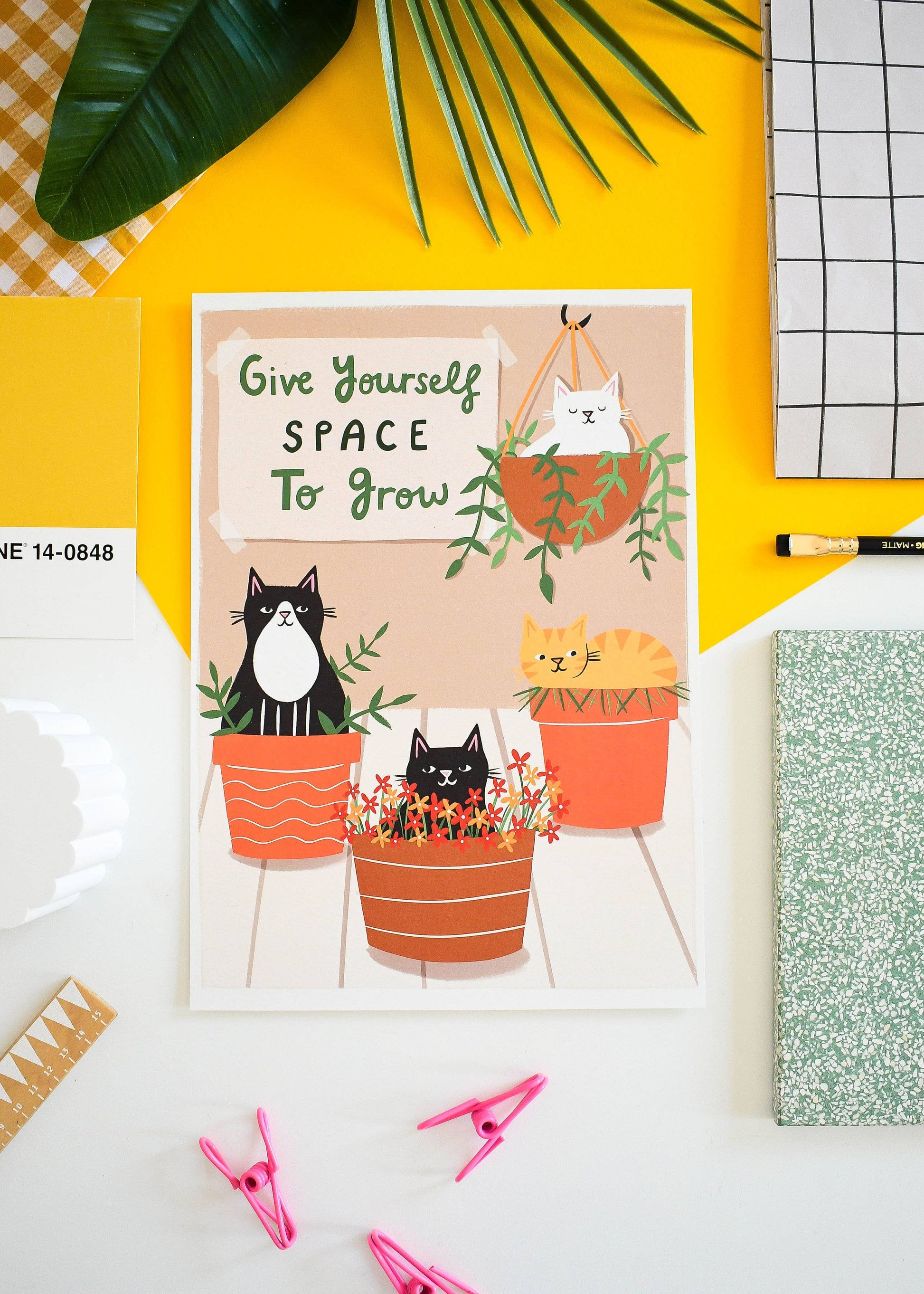Prints of cats sitting in plant pots with text Give yourself space to grow.