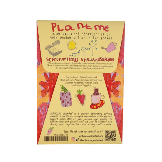 Packaging for 'Serendipitous Strawberries' with colorful graphics and text on a white background