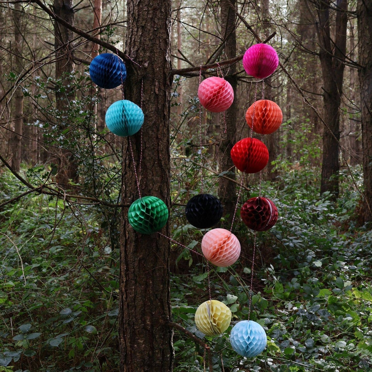Colorful paper lanterns hanging from a tree in a forest setting