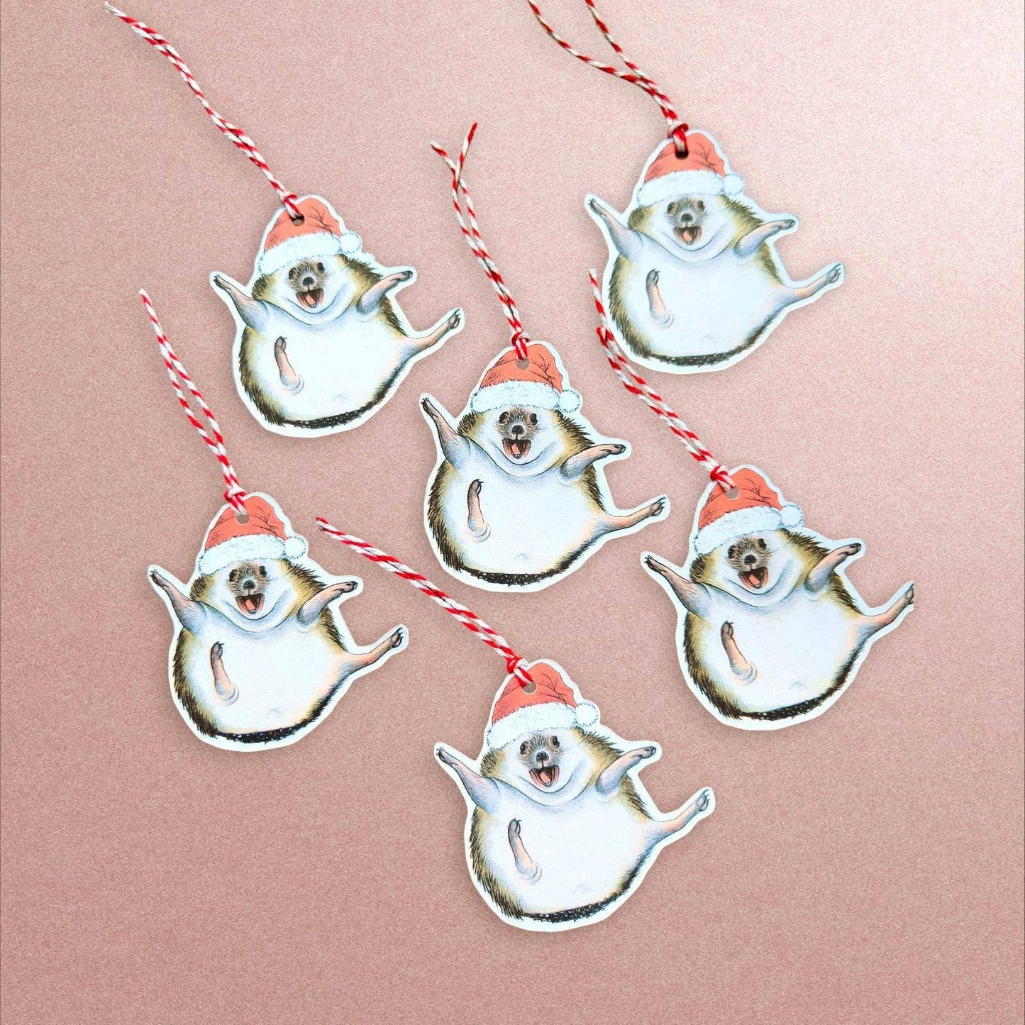 Hedgehog Christmas Gift Tags - Set of 6 Card Tags