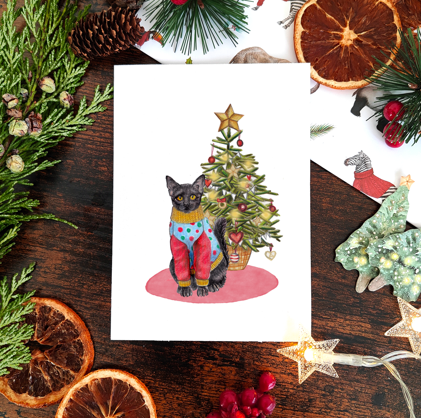 Set of 6 Cats in jumpers Christmas Cards