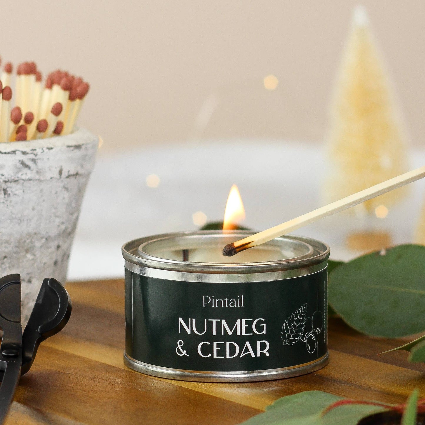 Nutmeg & Cedar Paint Pot Candle I Christmas Candle