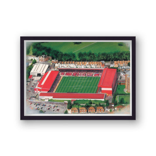 Framed artwork of a stadium with red roof and green field
