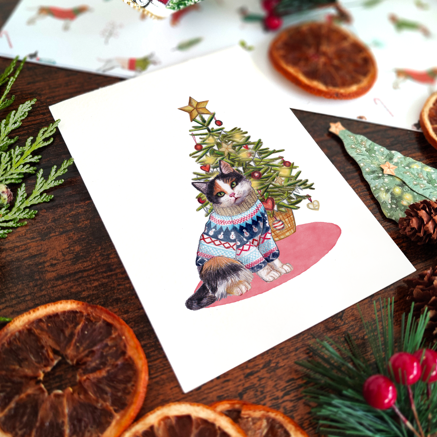 Set of 6 Cats in jumpers Christmas Cards