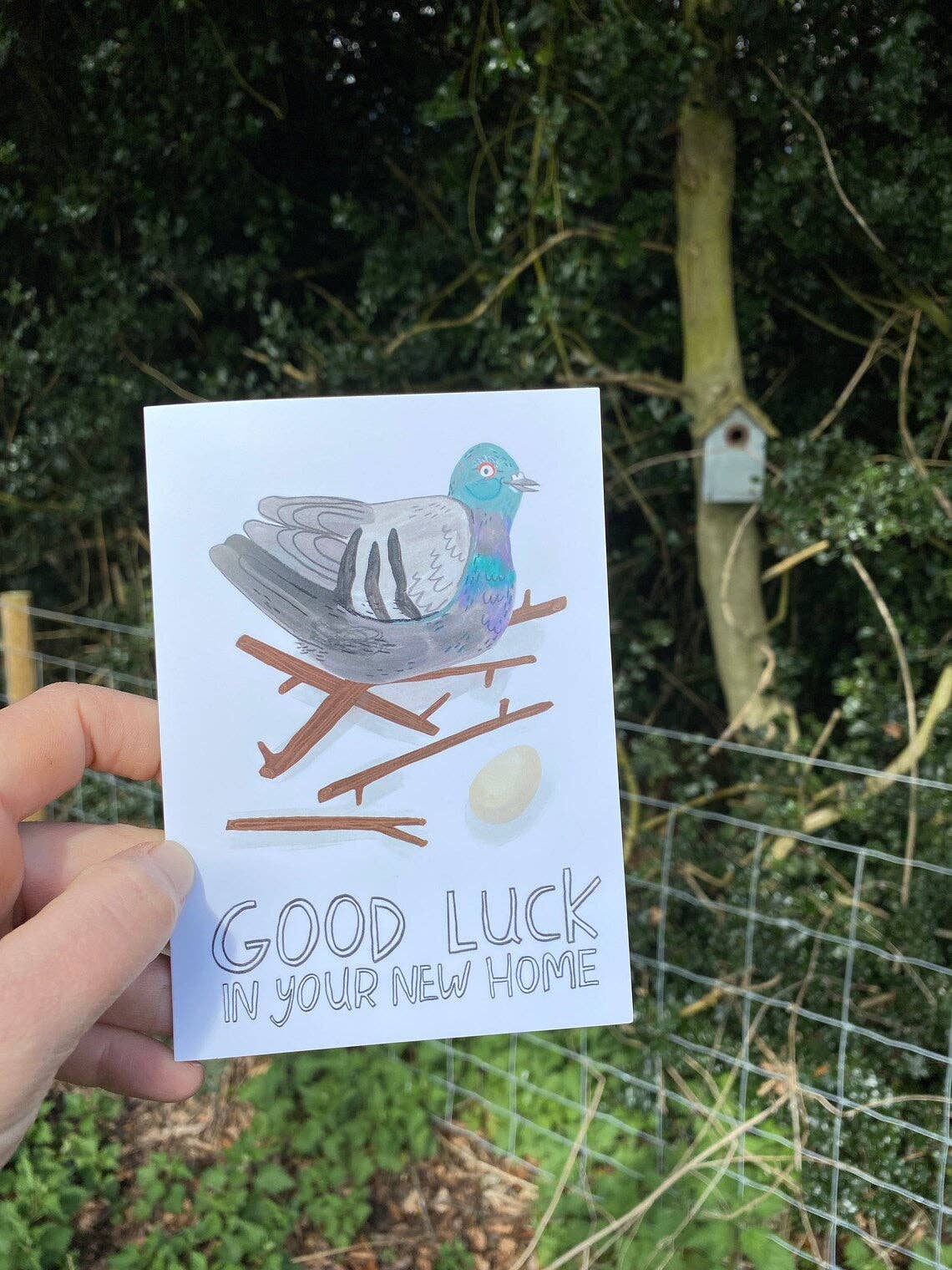 Good luck in your New Home / Pigeon / Greeting Card