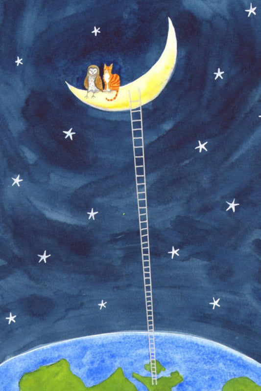 Colour illustration of an an owl and cat sitting on a crescent moon with a ladder descending to the earth