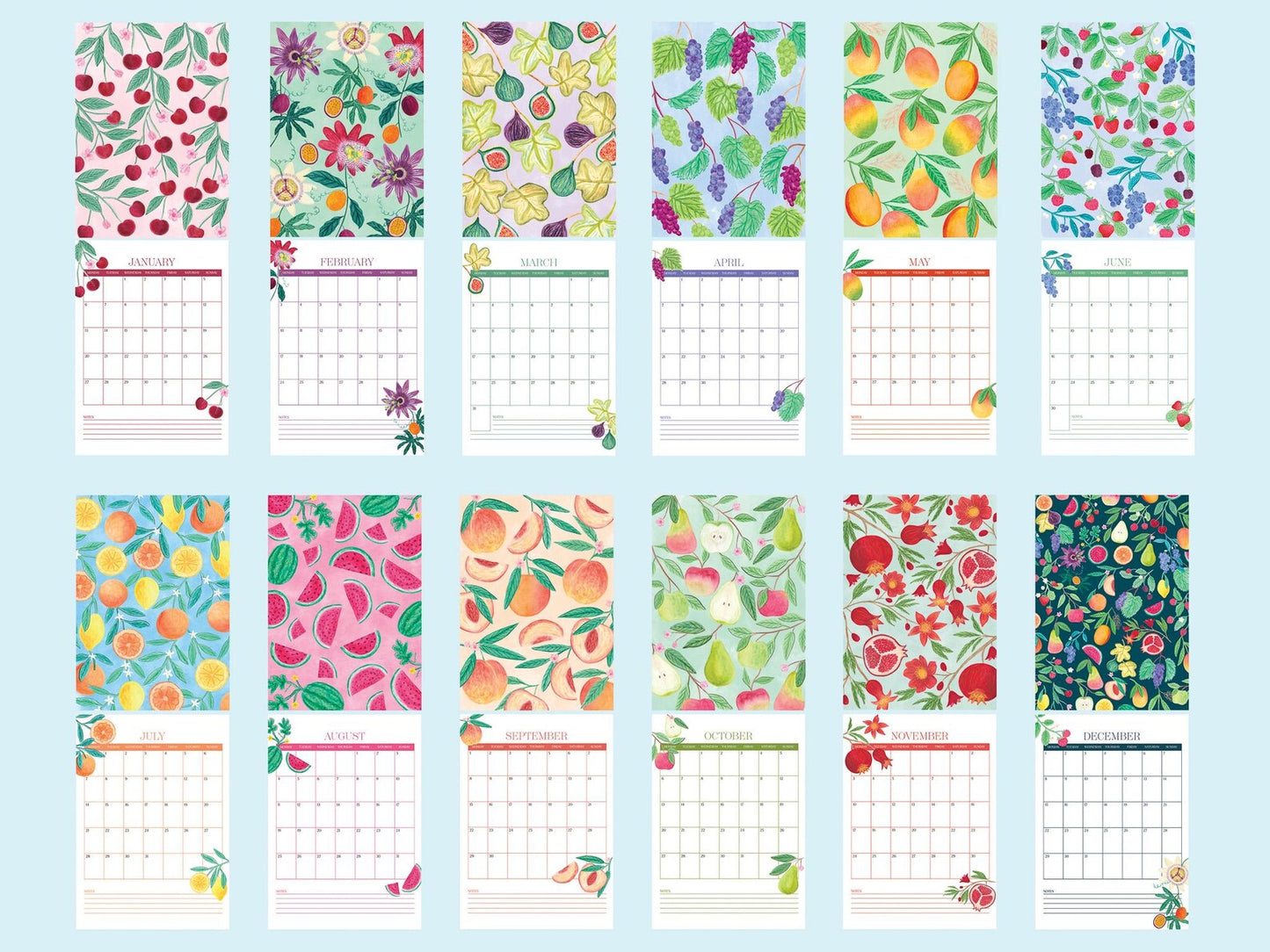 2025 Fruit Calendar, hand drawings of fruiting flowers by Sofia Papa.