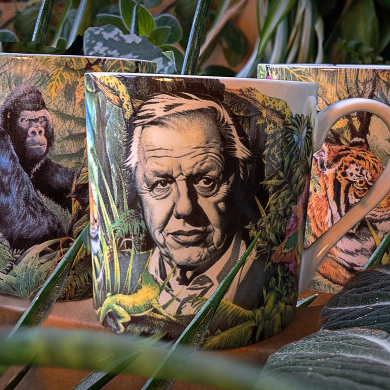 David Attenborough Bone China Mug