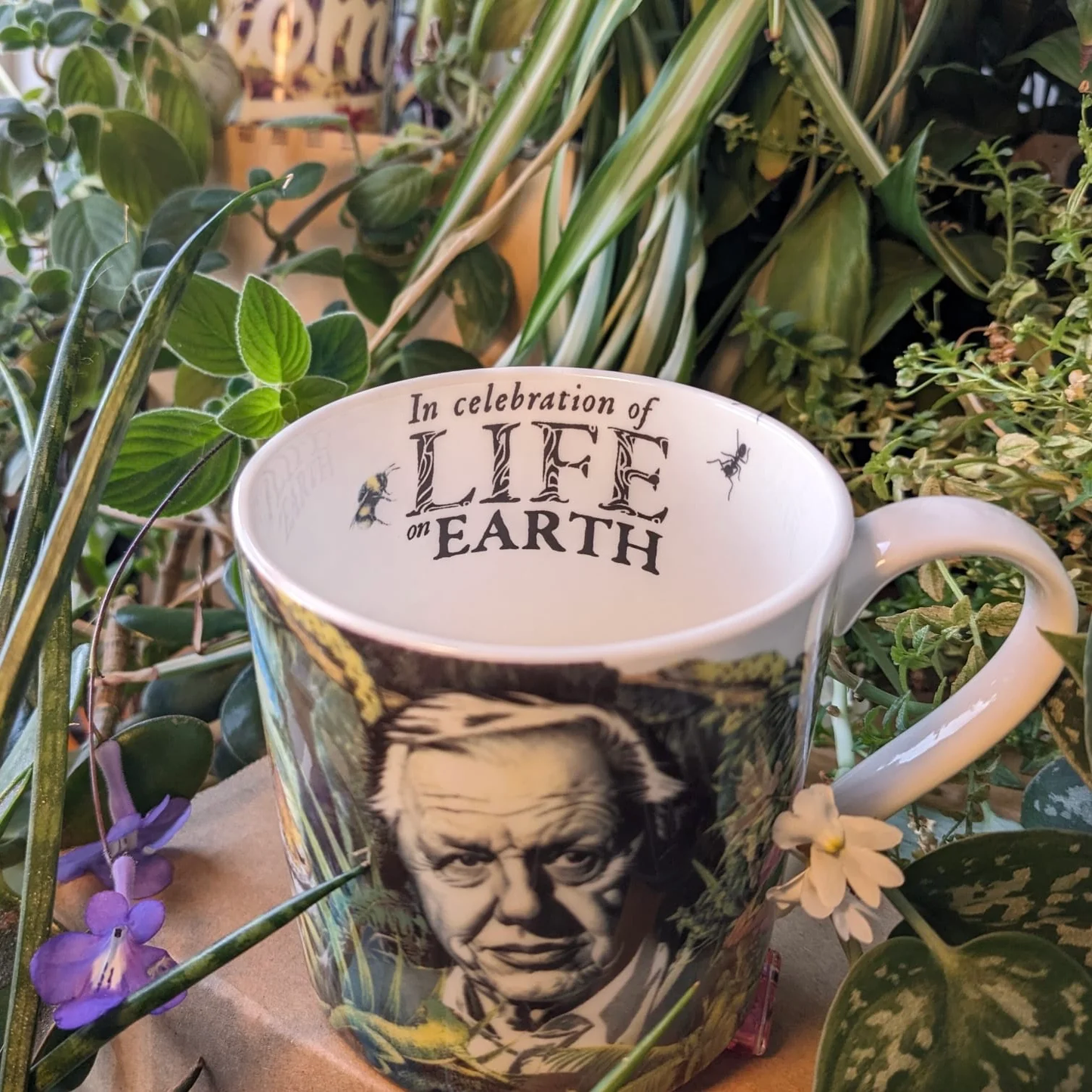 David Attenborough Bone China Mug