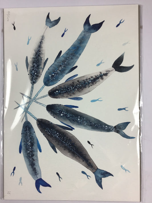 Narwhals Print