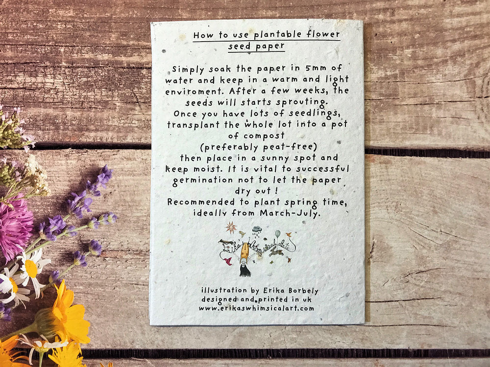 Happy Birthday Fox Plantable Card