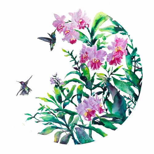 Carla James Hummingbirds and Orchids Print