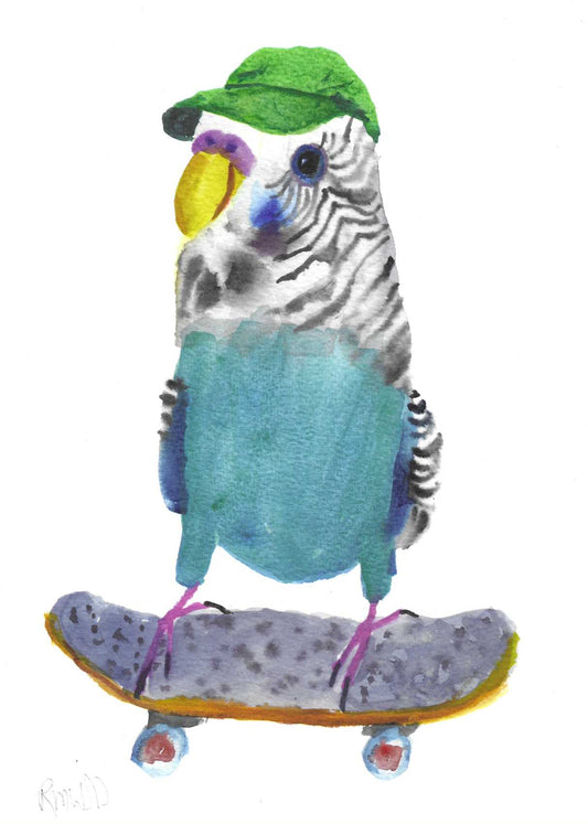 Colourful painting of a budgie with a cap standing on a skateboard