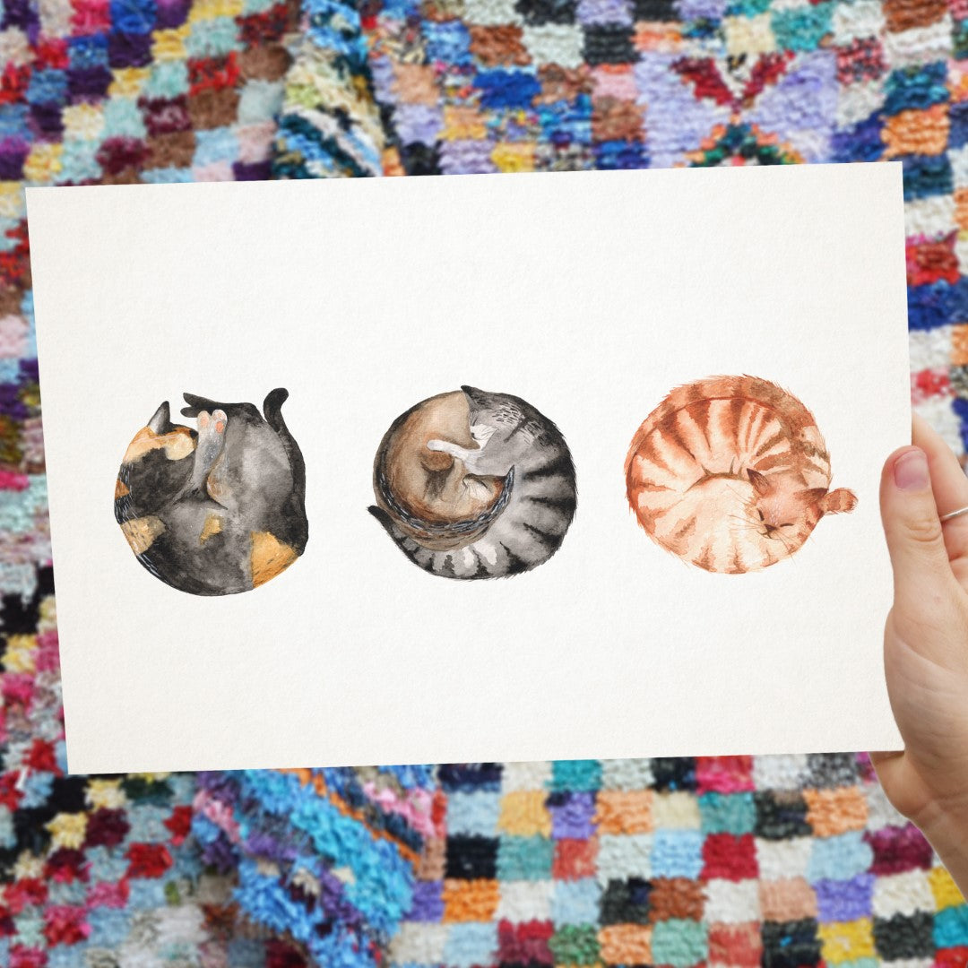 Colour illustration of three cats curled up with white background. A3 Giclee print on watercolour art paper.  Handmade in Bristol.