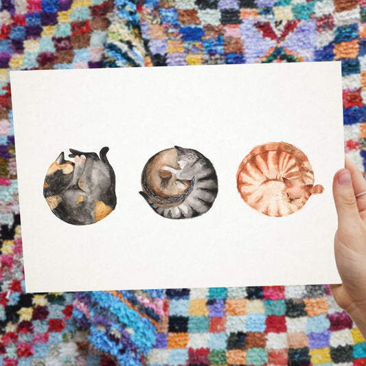 Colour illustration of three cats curled up with white background. A3 Giclee print on watercolour art paper.  Handmade in Bristol.