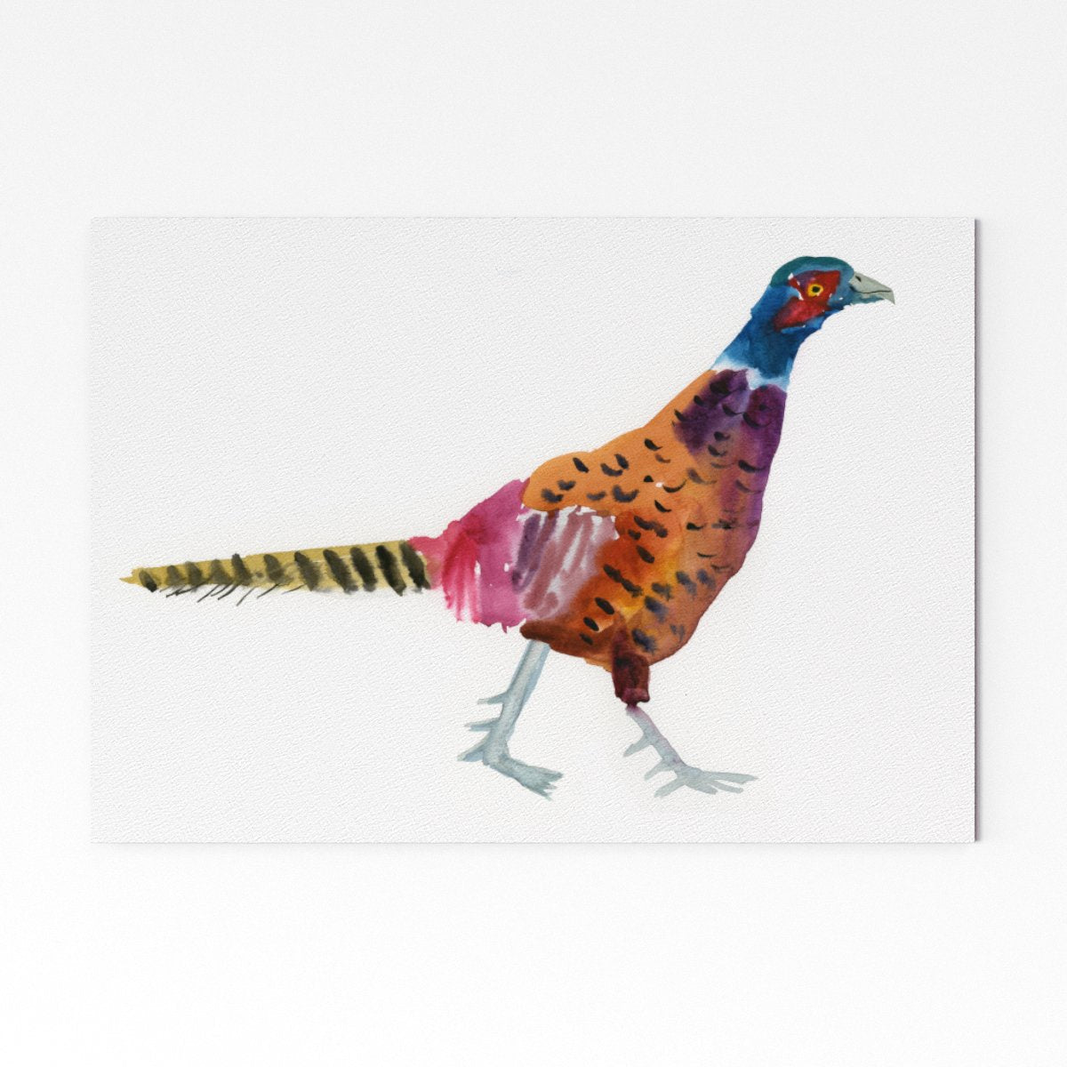 Colourful pheasant print A5 unframed