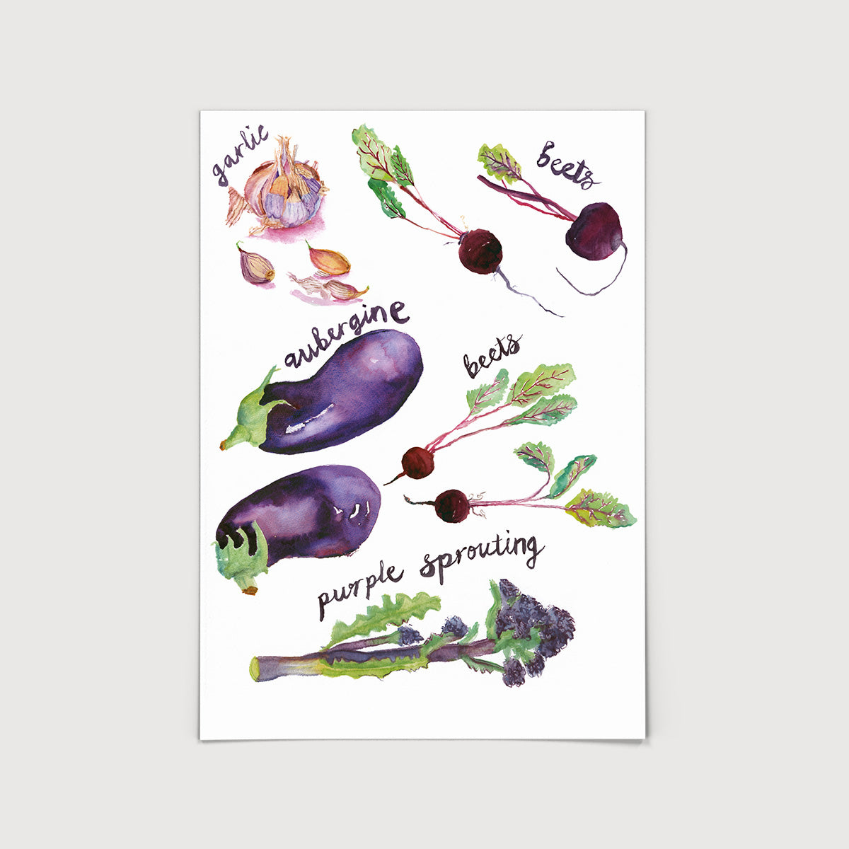 Rosie Webb Garlic & Beetroot Print
