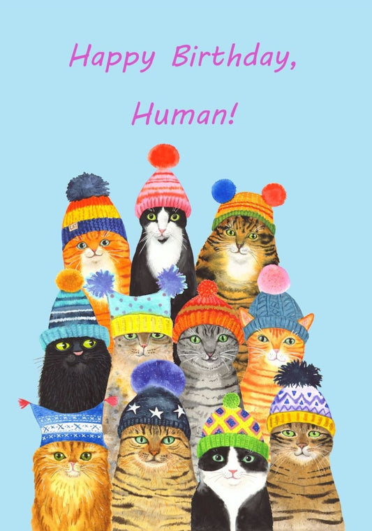 Happy Birthday Human card featuring a group of cats in hats