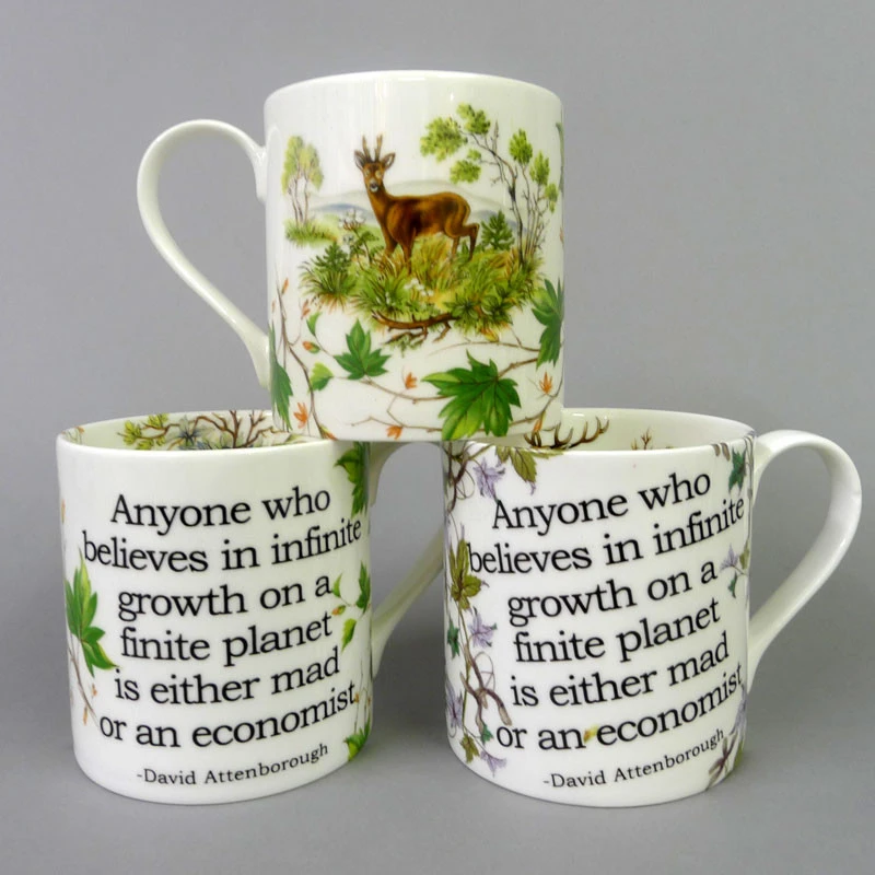 David Attenborough China mug, made in Bristol by Stokes Croft China.