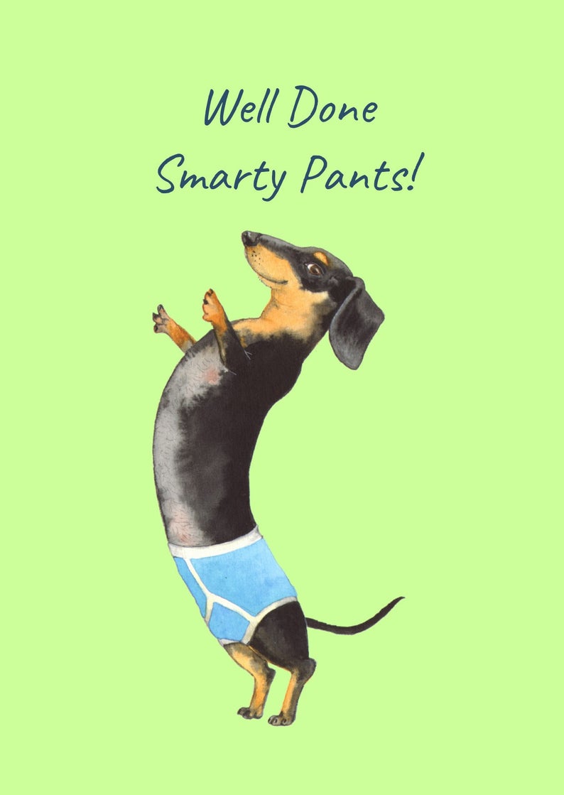 Well Done Smarty Pants! Illustration of a Dachshund standing on its hind legs in mens underpants. Designed in Bristol.