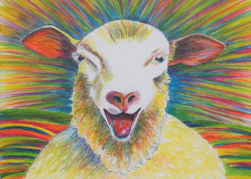 Viv Hunter Art Card.  Colourful head of a laughing sheep.