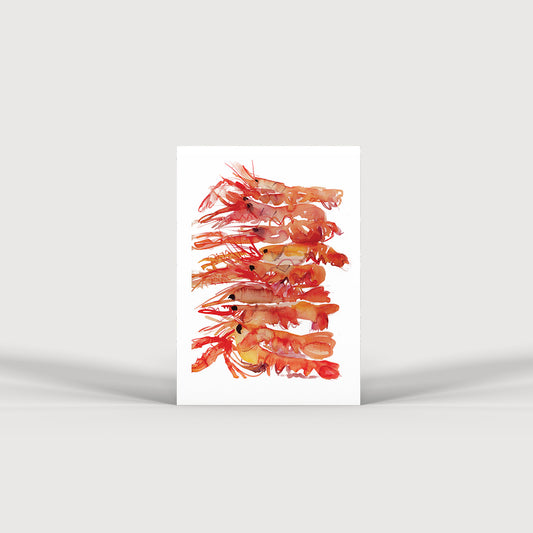 Rosie Webb Prawns Print