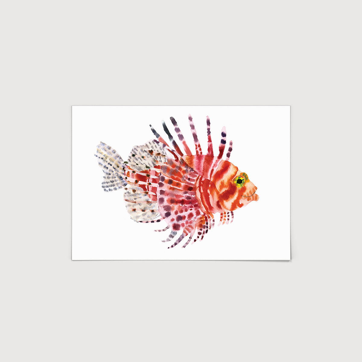 Rosie Webb Lion Fish Print