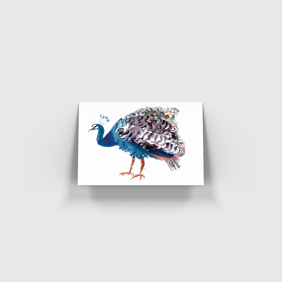 Rosie Webb Peacock Card