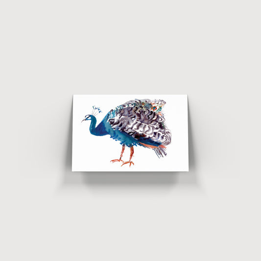Rosie Webb Peacock Card