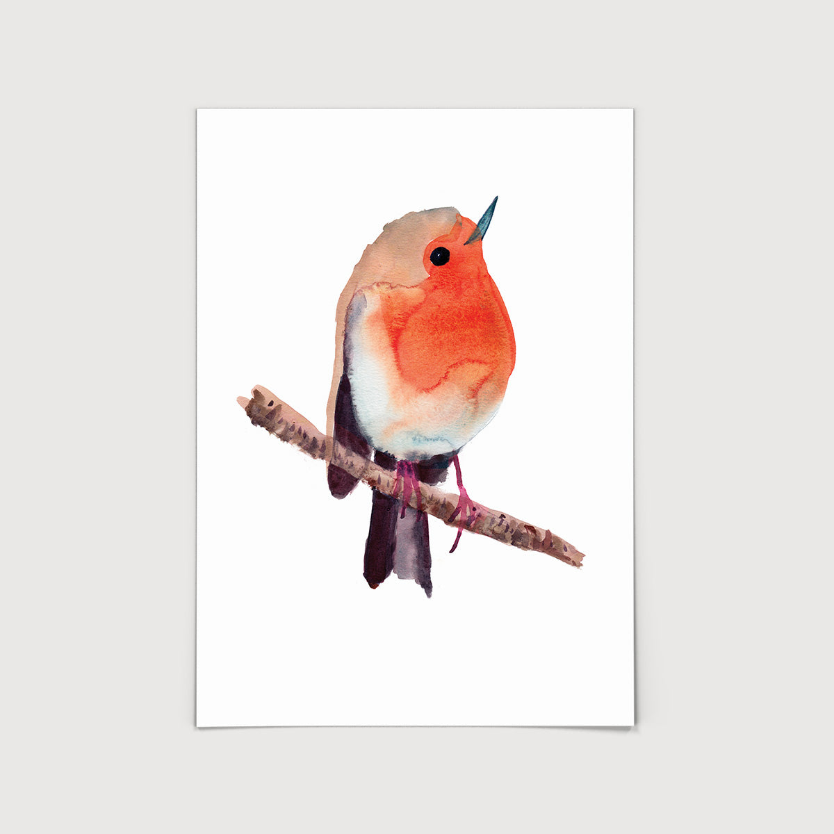 Rosie Webb Robin on Branch Print